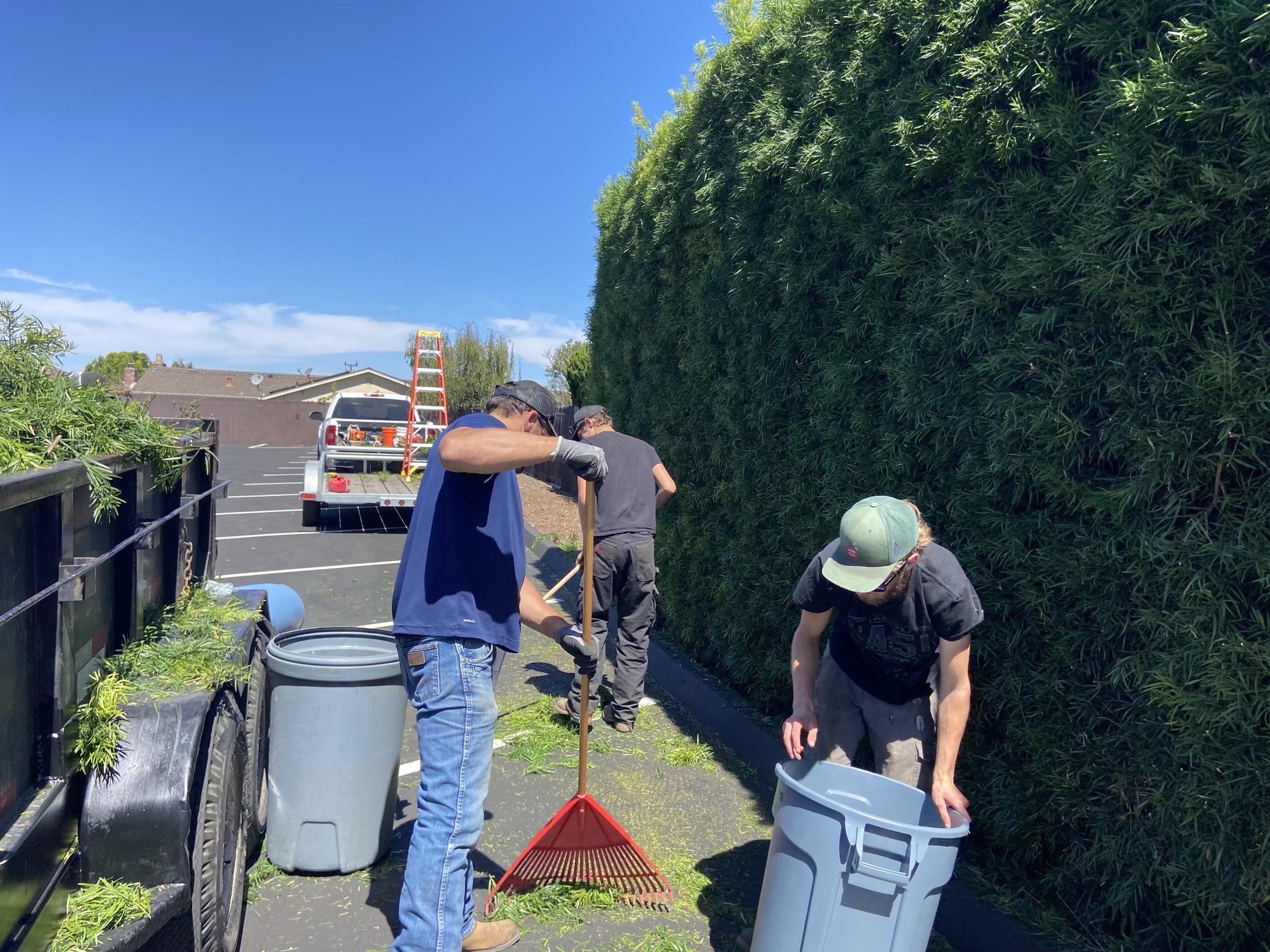 Mighty Men clearing hedge trimmings into bins beside a work trailer